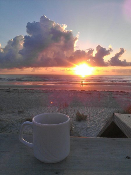 Утренний цветок сюрреализм