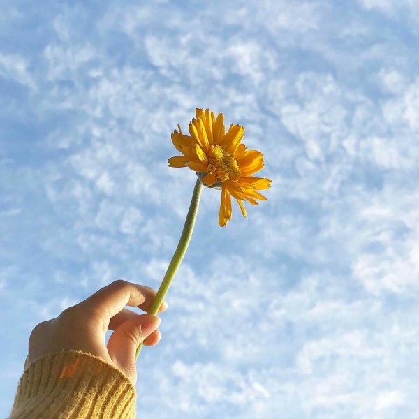 Эстетика жёлтого