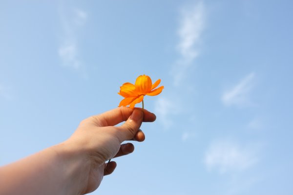 Цветок на руку.