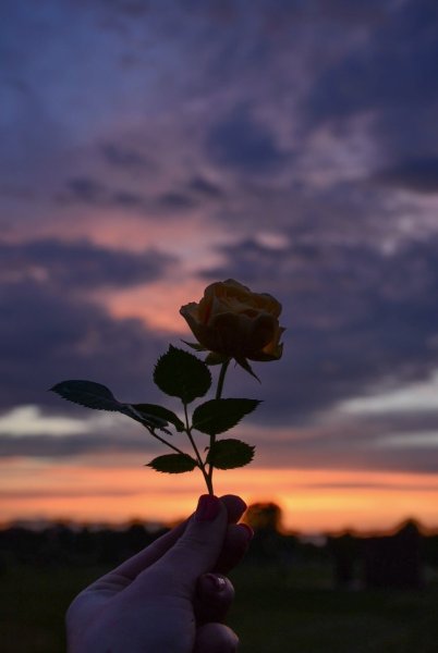 Руки на фоне неба Эстетика