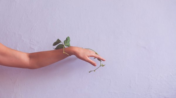 Весна радость