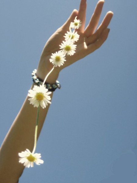 Голубые бабочки Эстетика