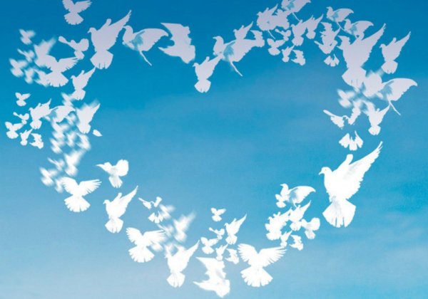 Сердце из голубей