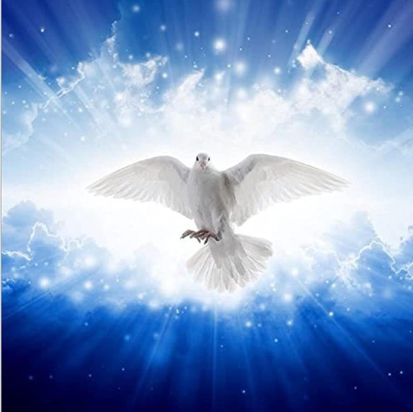 Два голубя в небе