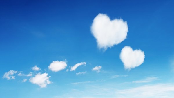 Натяжной потолок с голубями