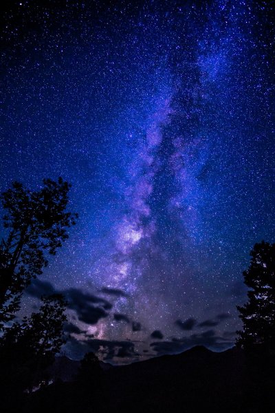 Ночное небо в лесу