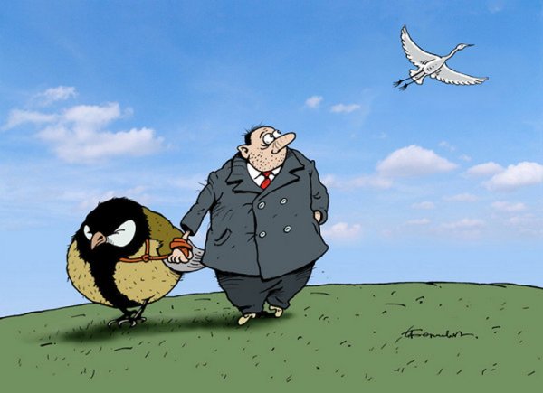 Синица в руках