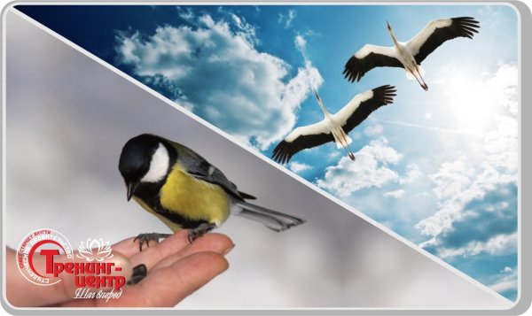 Лучше синица в руках чем журавль в небе