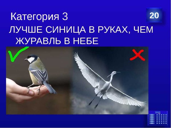 Сница в руках журавль в небе