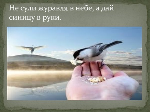 Журавль в руках