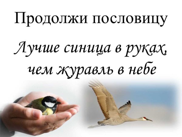 Лучше синица в руках