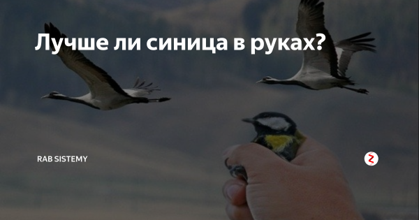 Кузнецов а. и синица в небе