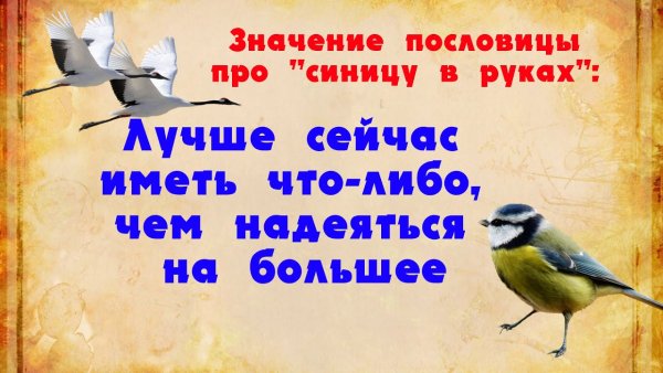 Синичка на ладони