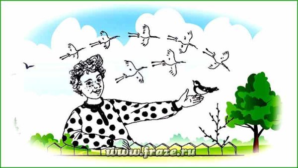 Синица карикатура