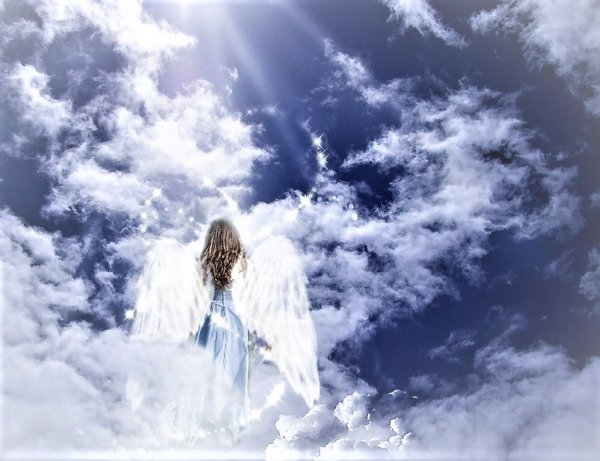 Ангелы летают