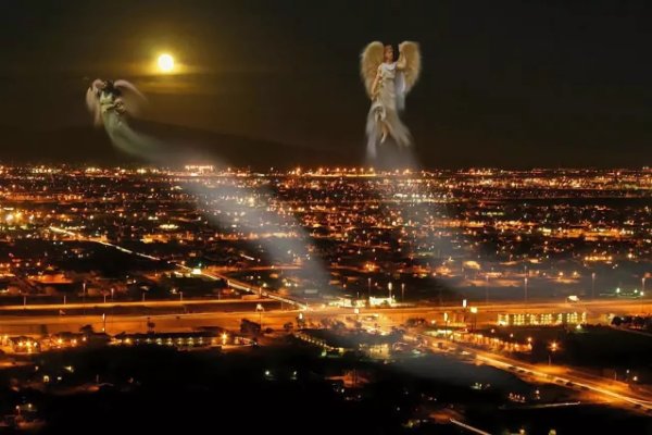 Крылья в полете