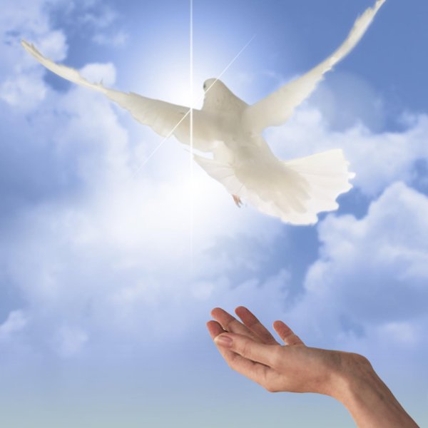 Девушка с крыльями в небе