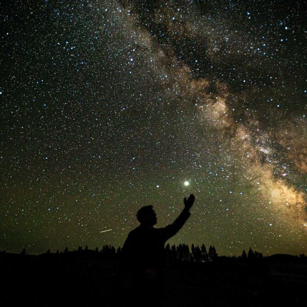 Девочка и звездное небо