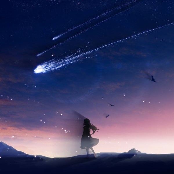 Под звездным небом