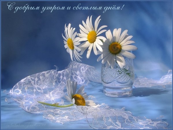 Доброго дня рассвет