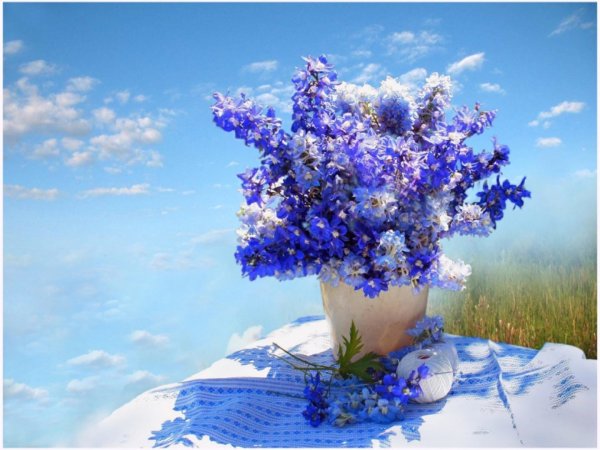 Февраль природа