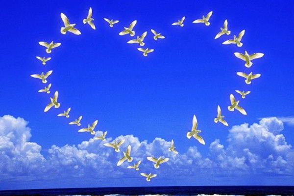 Мирного неба над головой