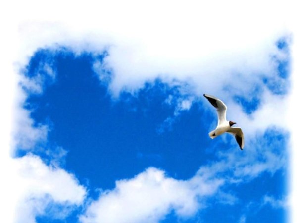 Природа летом рассвет