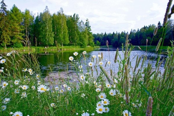 Солнечное лето