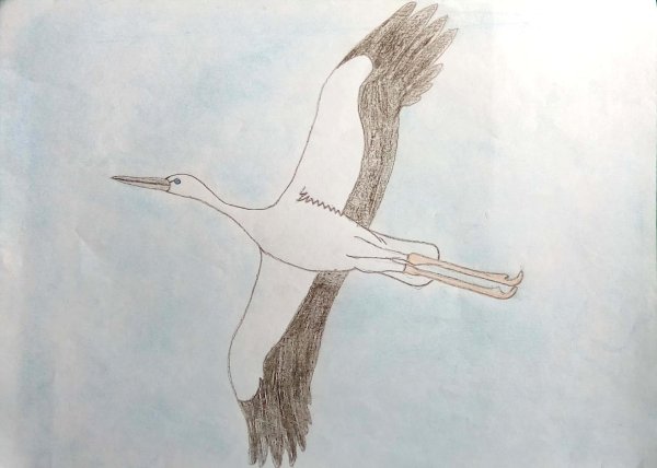 Журавль Графика