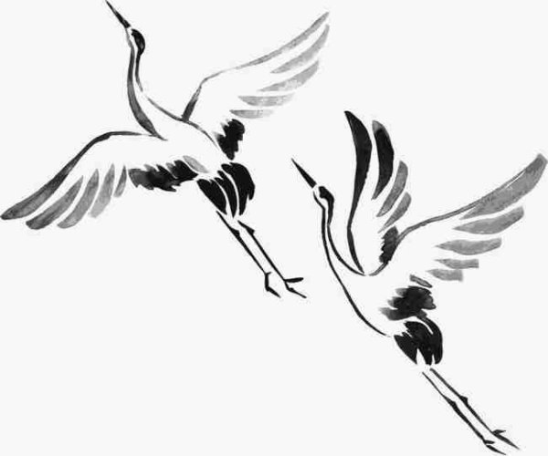 Лебедь в полете раскраска