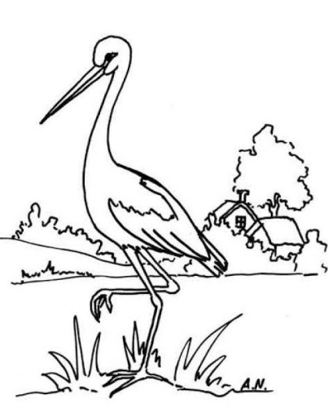 Раскраска журавль в полете