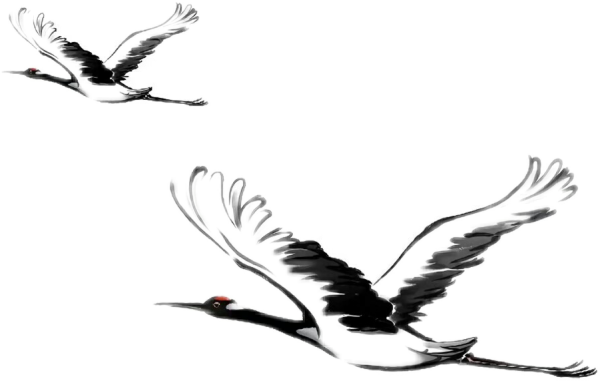 Раскраска журавль в полете