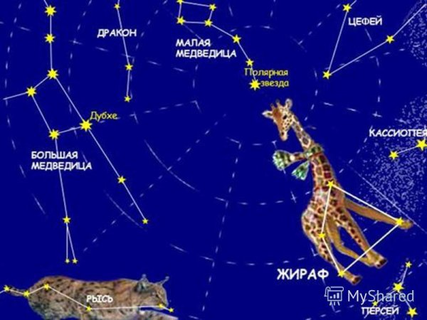 Созвездия для детей