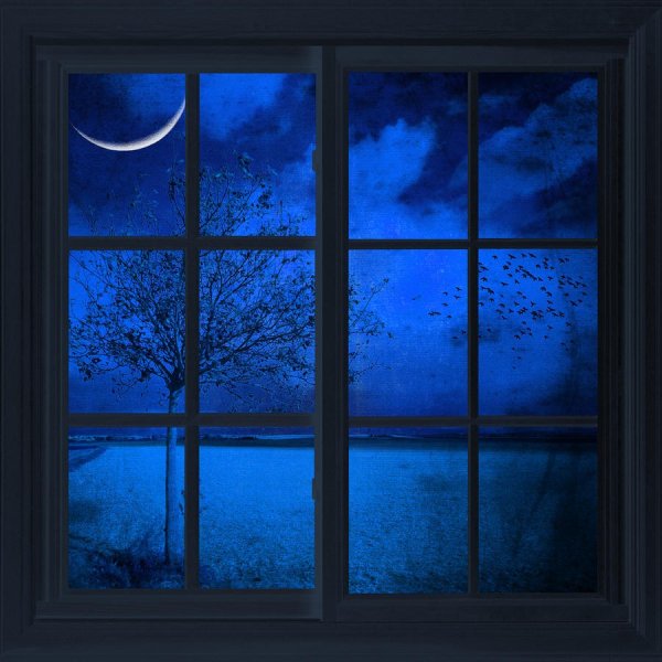 Лунный свет в окне