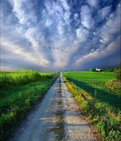 Дорога вверх