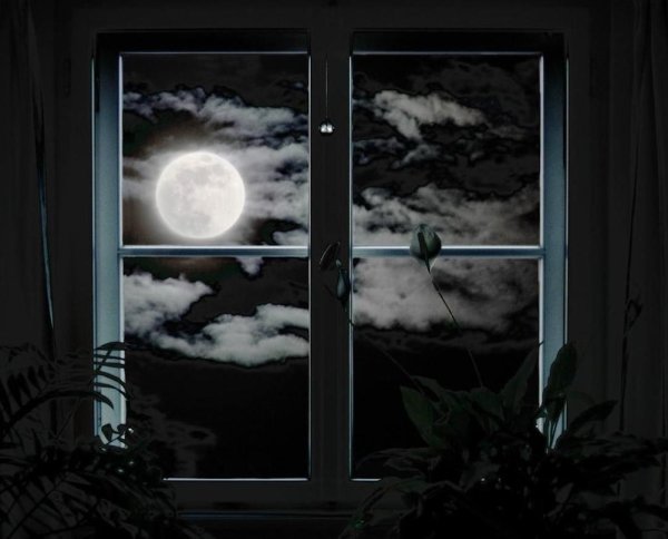 Небо из окна