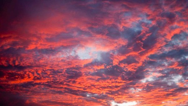 Розовое облако