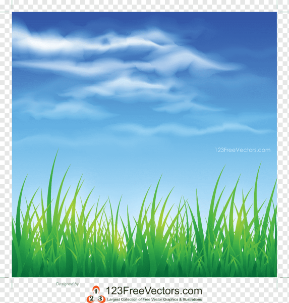 Мультяшное небо и трава