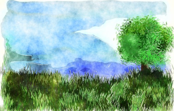 Трава гуашью