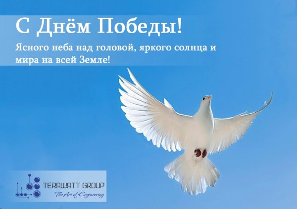 Мирного неба всем нам