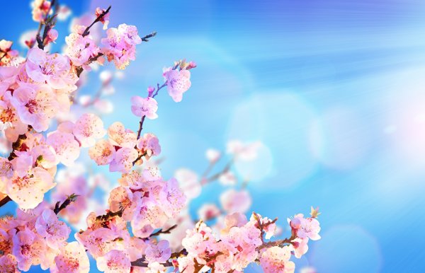 Весенний фон