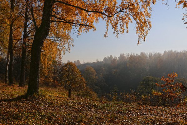 Небо осенью дышало