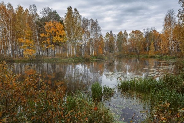 Уж небо осенью дышало рисунок к стихотворению