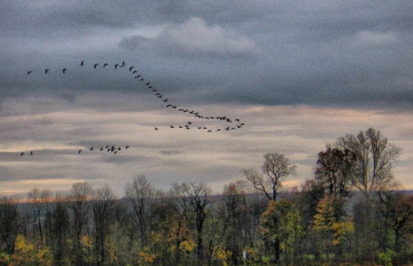 Зарисовки Пушкина пейзажи