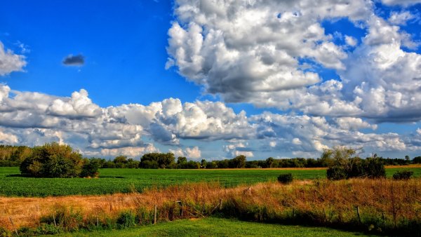 Поле и небо Украина