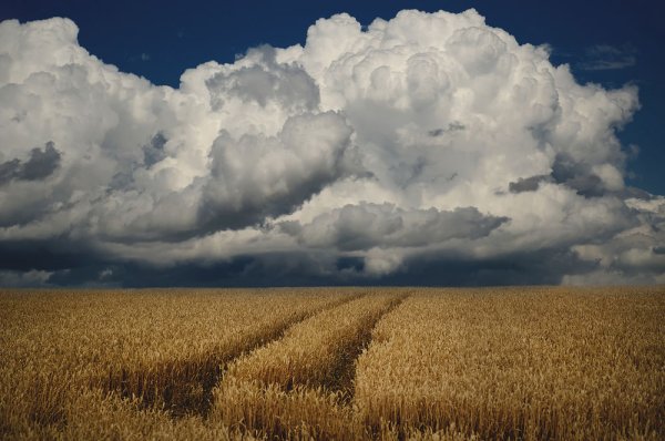 Пейзаж с облаками