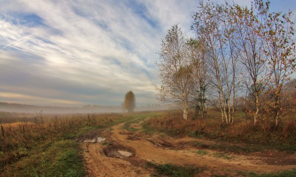 Пушкин уж небо осенью дышало иллюстрации