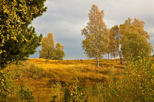 Иллюстрация к стихотворению Пушкина осень