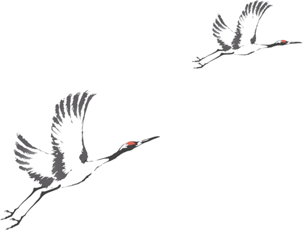 Силуэт аиста в полете