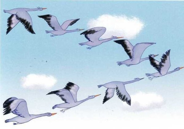 Аист летит